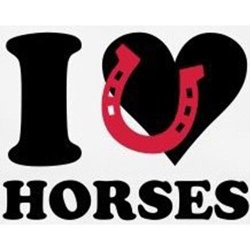 5D DIY diamond painting Horse slogan Full square/round Embroidery Pattern Cross stitch kits mosaic wall stickers