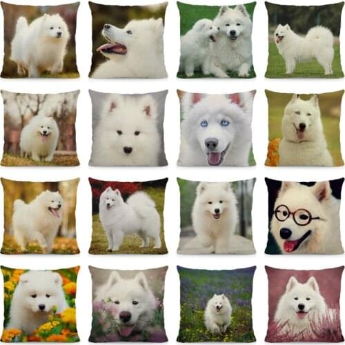 XUNYU Cute Samoyed Dog Cushion Cover Animal Pillow Case Home Decoration Sofa Decor 45x45cm DWG032
