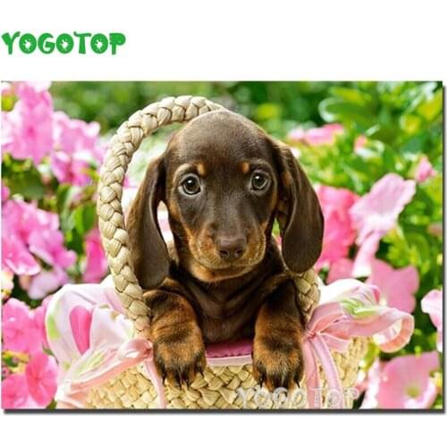 Full square round drill diamond painting Cute Dachshund diamond embroidery picture Diamond Mosaic patterns wall sticker YY4758
