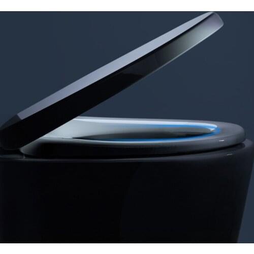 Youpin Diiib Multifunctional 3D Smart Sounds Control Toilet Seat LED Night Lighti Bidet DXMTG001