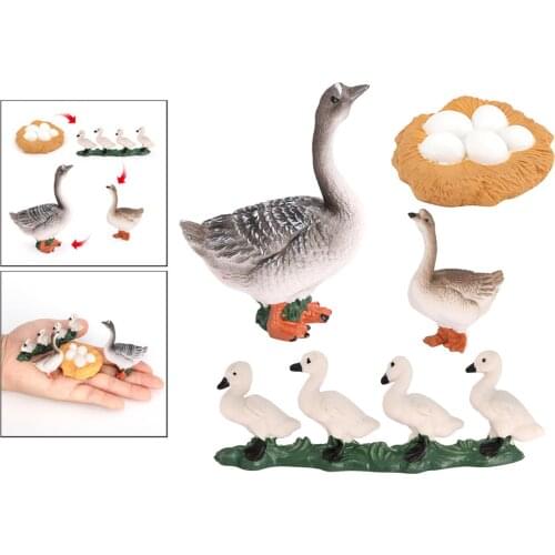 Realistic Growth Cycle Plastic Life Cycle Goose Model Biology Toy Teaching Aids