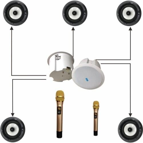 Home Theater System 5.1 Wireless WIFI Blue-tooth ceiling speaker with 2 wireless microphones