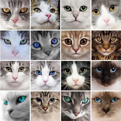 5D Diy Diamond Painting Cat Cute Animal Cross Stitch Kit Full Drill Diamond Embroidery Rhinestone Pictures Mosaic Kids Gift