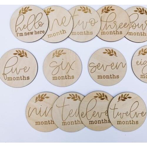 Set of 14pcs wooden Baby Monthly Milestone Wood Discs Milestone Cards Age Signs Newborn Shower Gift