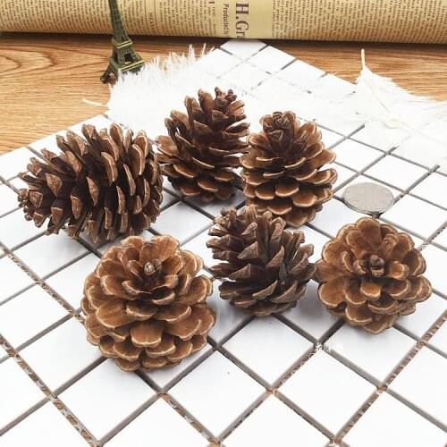 Preserved Fresh Flower Flower Material Natural Pine Cone Dried Flower Small Fruit Larch DIY Gift Box One-Stop Handmade Material