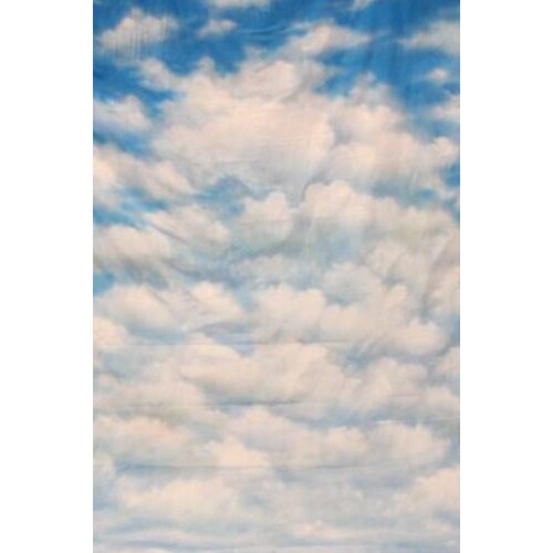 10x20ft 100%Cotton hand painted CLOUDS SCENIC MUSLIN PHOTO BACKDROP,fantasy cloth wedding backgrounds for photo studio