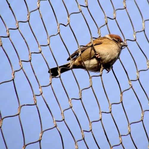 Stainless steel zoo mesh/bird netting/ Animal enclosure/Aviary netting/ Animal cages