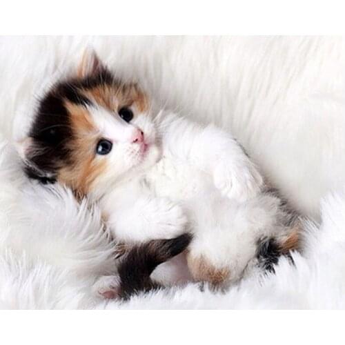 5d full diamond embroidery lovely cat diamond painting animal round diamond mosaic cross stitch diamond embroidered picture