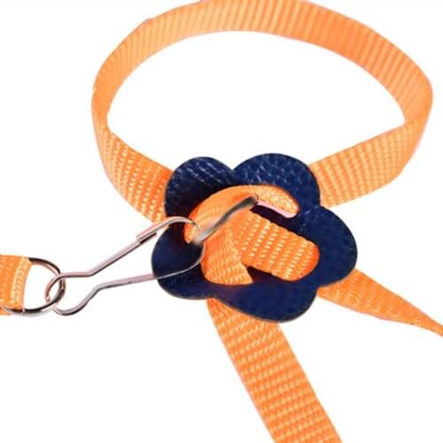 Portable New Parrot Bird Hamster Turtle Lizard Traction Rope Reins 8-shaped Pet Strap Leash