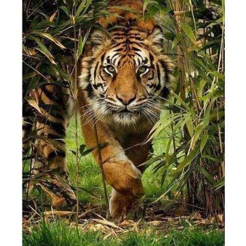 Full Square Round Diy Diamond Painting AnimalsTiger Butterfly Diamond Embroidery Mosaic Picture Of Rhinestone Art Cross Stitch