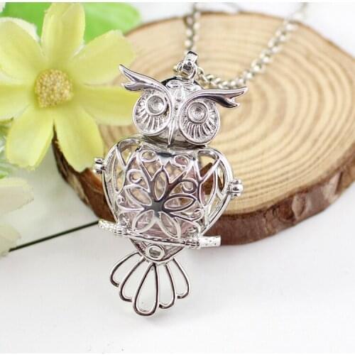 1PC Owl Locket with Fillable Glass Orb Glass Apple Locket Pendant Necklace Memory Locket Necklace Cremation Jewelry
