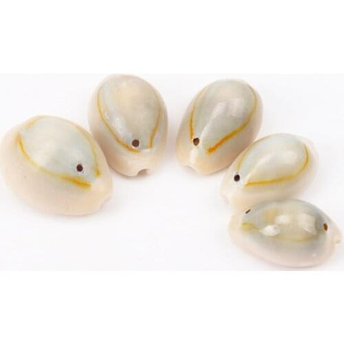Natural Shell Muszla Loose Beads with one Hole for Crafts Making Party Home Decoration 10-23mm 20pcs TRS0080