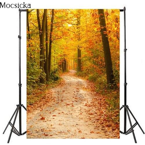 Mocsicka Autumn Background Maple Leaf Trail Background Decoration Style Child Portrait Photo Background Photography Banner