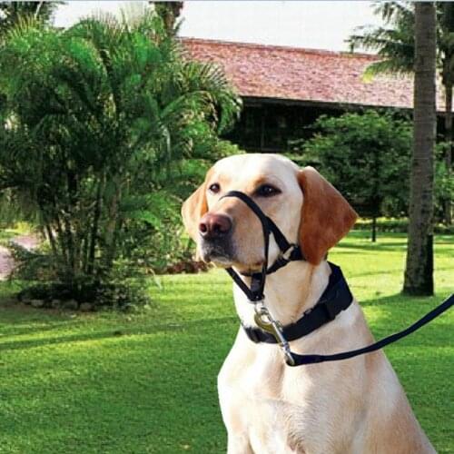 Nylon Dog Training Head Collar Head Harness Stops Dog Pulling with Head Leash New
