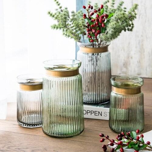 New Simple Modern Glass Vase Transparent Ornaments Home Accessories Light Luxury Hydroponic Flowers