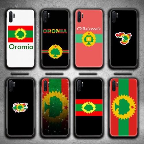 Somali Somalia Oromo Oromia Region Flag Phone Case For Samsung Galaxy Note20 ultra 7 8 9 10 Plus lite M51 M21 M31S J8 2018 Prime