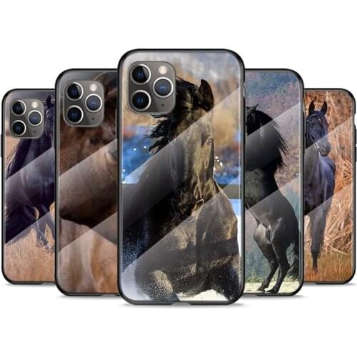 Tempered Glass Cover Anime Horse Animal For Apple iPhone 12 11 8 7 6 6S XS XR SE X 2020 Pro Max Mini Plus Phone Case
