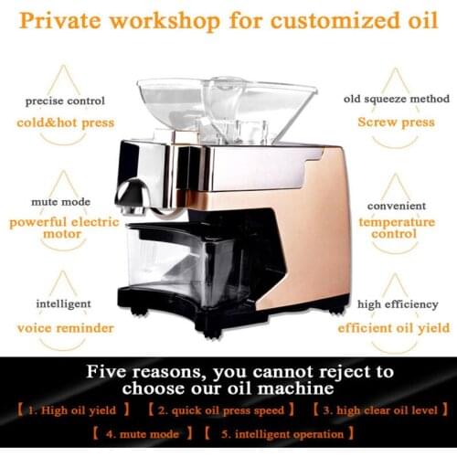 New Plastic Fuselage Stainless Steel Screw Oil Press Machine Commercial Home Oil Extractor Expeller Presser 110v/220v Available