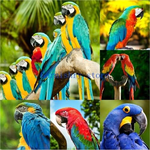 5D DIY Full Round Drill Diamond Painting Colorful Parrot Mosaic Embroidery Cross Stitch Kits Home Decor Art Craft Gift
