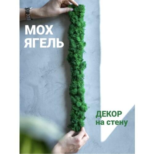 Bloom Showroom Decorative Wall Stickers