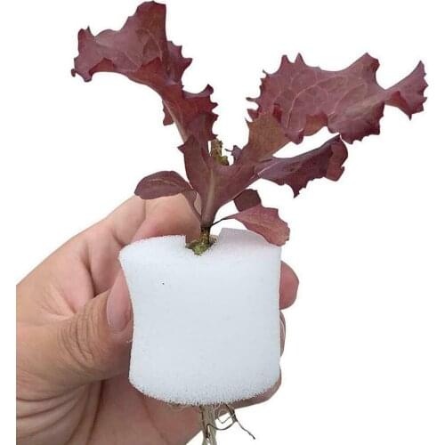 Nursery Pots 50pcs Vegetable Net Cups Cylinders Sponge Hydroponic System