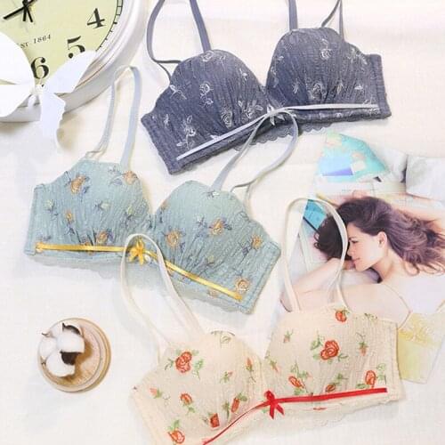 Wasteheart New Women Fashion Blue Skin Sexy Lingerie Lace Cross Straps Cotton Panties Wireless Push Up Bra Sets Underwear