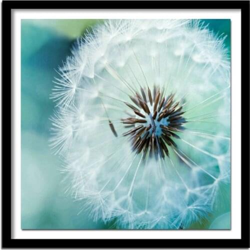 5d diy full diamond embroidery diamond painting cross stitch Dandelion diamond flower picture Home Decor painting 20*23cm