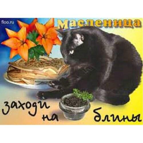 DIY Diamond Painting Cross Stitch Pattern 5D Diamond Embroidery Black cat Mosaic rhinestone Full Drill Home Decor stickers