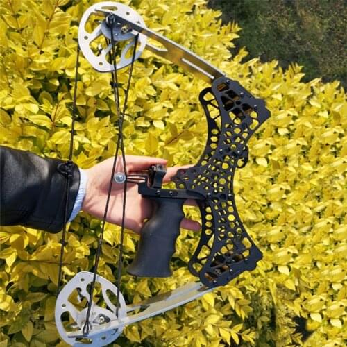 Outdoor Archery Fishing Bow And Arrow Suit Small Mini Composite Pulley Bow And Arrow Exquisite Fish Shooting Suit