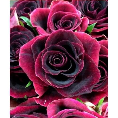 Full SquareRound Drill 5D DIY Diamond Painting Red flowers 3D Embroidery Cross Stitch Mosaic Home Decor ZH