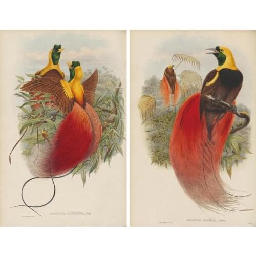 Retro animal red birds tree scenery set oil painting canvas prints printed on canvas home wall art decoration picture