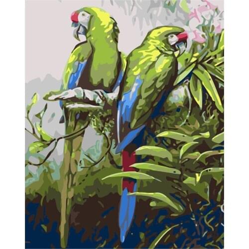 Tetasal DIY Painting by Numbers For Adults Kits Gift Digita Oil Paint Dropshipping On Canvas parrot Home Decoration