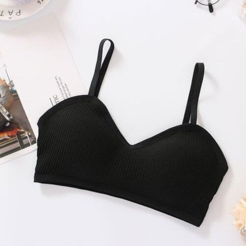 Padding Bralette Push Up Bras For Women Wire Free Bra Brassiere Seamless Underwear Comfort Intimates Female Bra Sexy Lingerie
