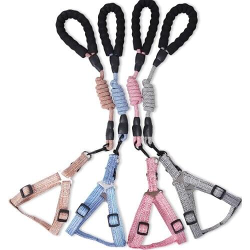 Personalized Pet Chest Back Leash Set Adjustable Harness Puppy Nylon Collar Outdoor Walking Dog Accessories Supplies Multicolor