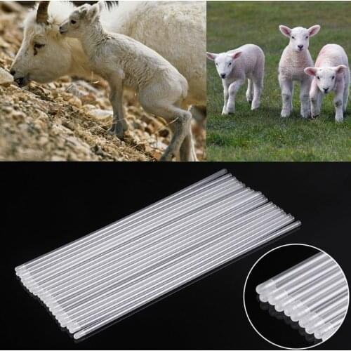 YYSD 20Pcs Pet Canine Dog Goat Sheep Artificial Insemination Breed Whelp Catheter Rod