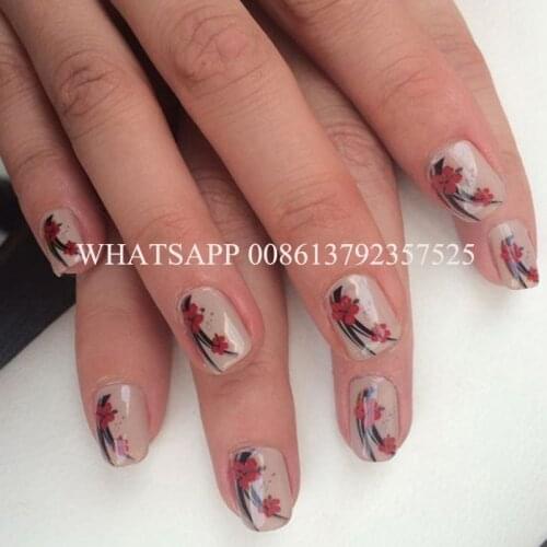 5 nails painting a time digital nail printer machine with screen and computer inside nail and flower printer