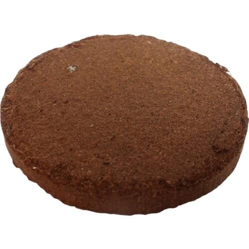 HOUSEEN Decorations For Aquariums