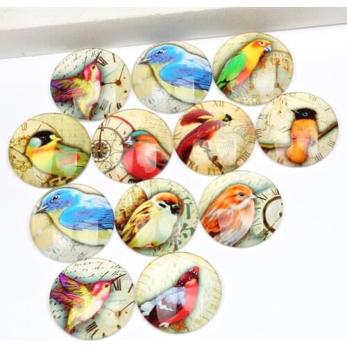 Reidgaller 20pcs mixed vintage bird photo cabochon 20mm 25mm glass dome jewelry findings for pendant necklace making