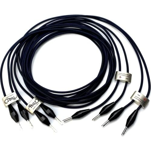 HiFi Audio Speaker Cable YTER Well Tempered Orgentun Alloy Loudspeaker Cables Banana Plug