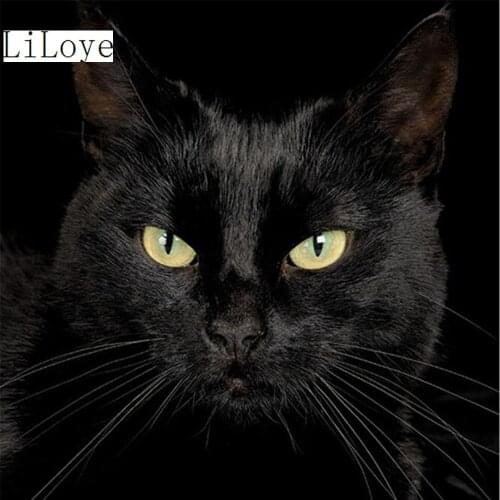 LI LOYE DIY Diamond Painting Cross-Stitch Kits Black cat icon 5D Square Full Diamond Embroidery Diamond Mosaic picture Art FZ469