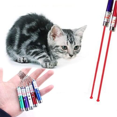 Amazingly Cat Toys Funny Cat Laser Stick Creative 2 In1 Red Laser Pointer Pen With White LED Light Interactive Pet Playing Toys