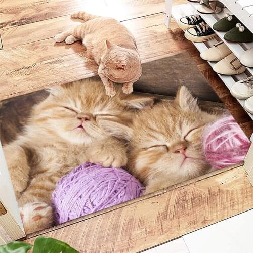 Lovely Kitten Entrance Doormat 40x60cm Floor Rug Anti-slip Door Mat Bathroom Kitchen Mat Kitchen Carpet Home Decor