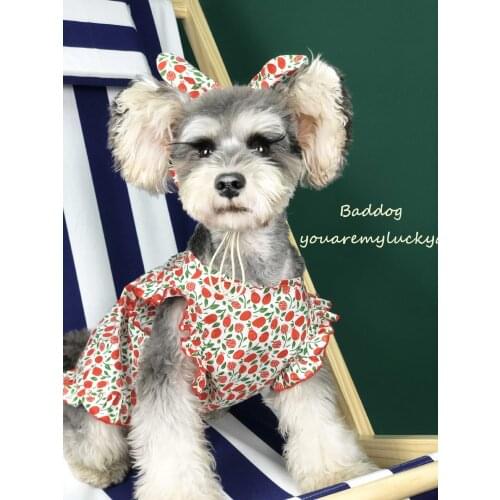 New Floral Dresses For Pets In Summer Clothing For Small Dog Cats Skirt For Pets Schnauzer Akita Pug Clothes With Hair Band