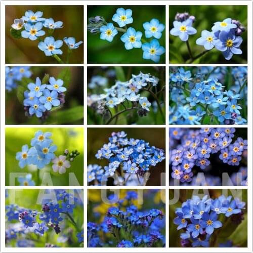 5D Diy Diamond Painting Bule Purple Flowers Handmade Gift Diamond Embroidery Mosaic Picture of Rhinestones Home Decoration