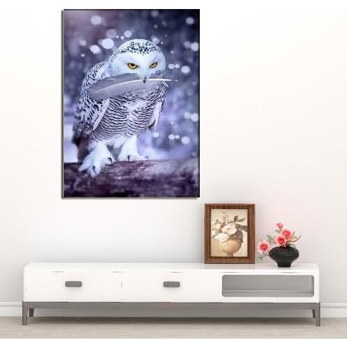 5D DIY Diamond Painting owl round/square Cross Stitch Diamond Embroidery kits Diamond Mosaic home Decorative drill