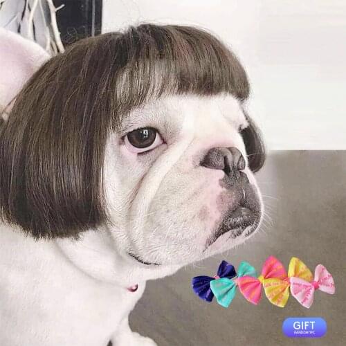 Pet Wig Cosplay Props Dog Cat Cross-Dressing Hair Set Photography Funny Props Head Accessories Prank Pet Supplies