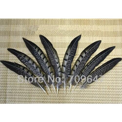 50Pcs/Lot 6-8" 15-20cm Lady Amherst Pheasant Tail Feathers Wholesale Loose Quill Natural Smudge Wand Black Brown
