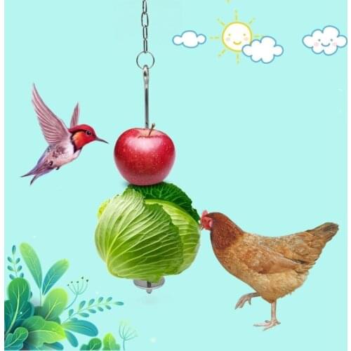 Pet Parrot Stainless Steel Feeder Fruit Corn Fork Toys Chicken Vegetables Holder Hanging Feeding Stick Feeder Accessories
