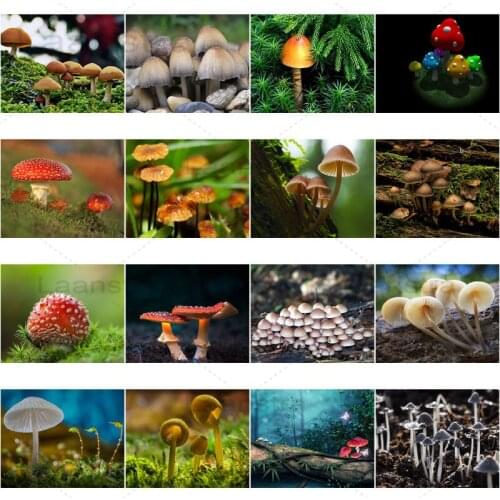 Forest Diamond Painting Mushroom Plant Home Decoration Wall Picture Handmade Gift Stickers Diamond Embroidery Living Room Decor