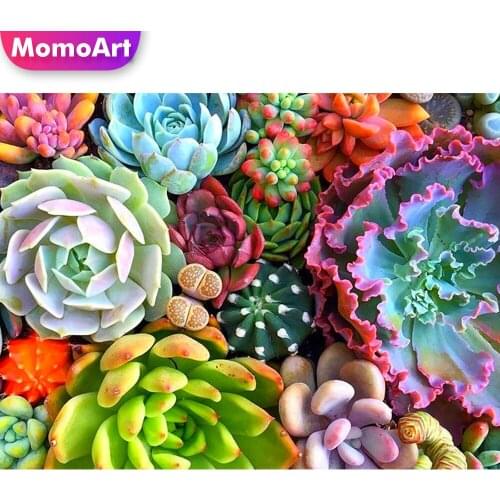 MomoArt Diamond Painting Succulents Full Drill Square Diamond Mosaic Flower Cross Stitch Embroidery Rhinestones Home Decoration